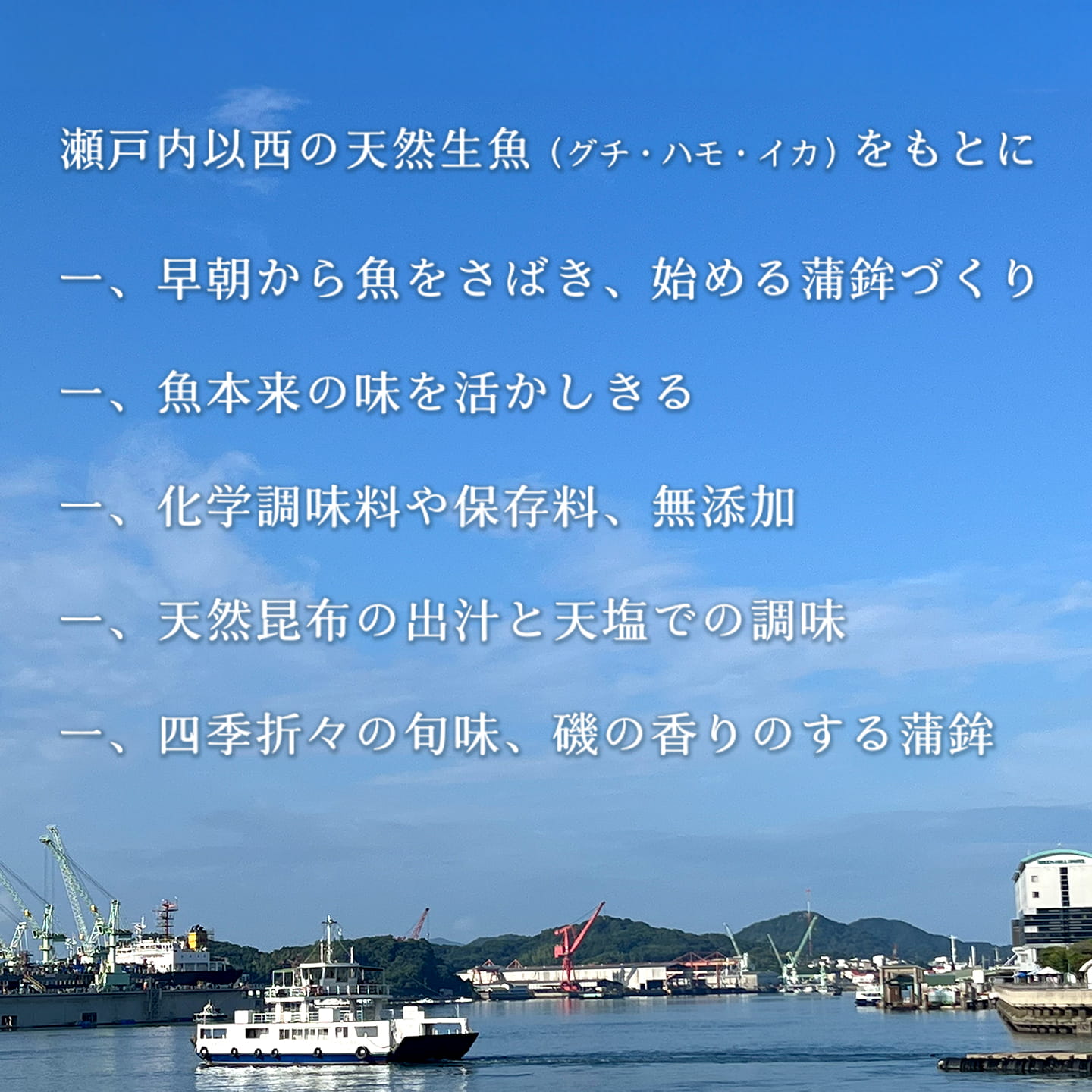 瀬戸内以西の天然生魚を